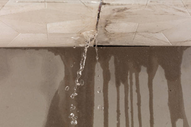 Professional Burst Pipe Cleanup technician working in Damascus, OH